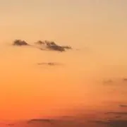 きの
