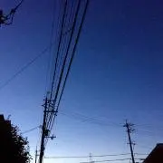 たこ✳︎の画像
