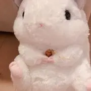 販売停止中です！！の画像