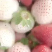 苺