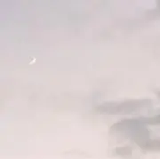 PCRの画像