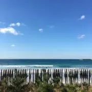 モーリスの画像