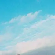 にゃん【気軽にコメント下さい】