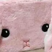 さや