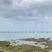 GELNの画像