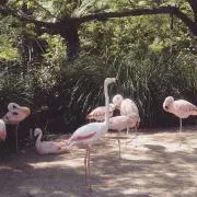 fumiの画像