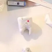 Cloverの画像