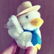 封水の画像
