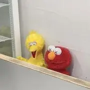 もえの画像