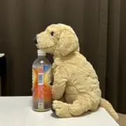 ジョンの画像