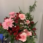びーの画像