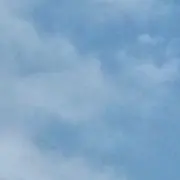 断捨離くん