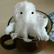 めいうさ