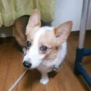 プロフ必読  値下げ不可の画像