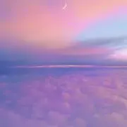 りいの画像