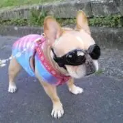 TwIsTの画像