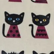キーちゃん