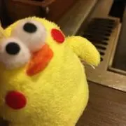 ぽいんこ