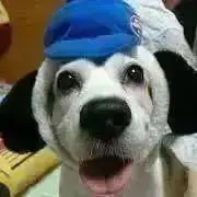 ひろの画像
