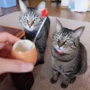 あぐ