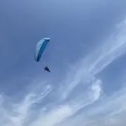 ささみ