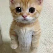 とりあえず生の画像