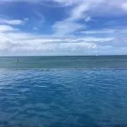 Manamingの画像