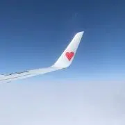 YOUの画像