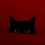uの画像