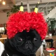 やのや