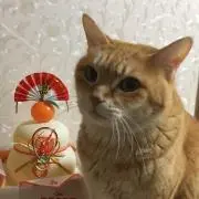 つくつきの画像