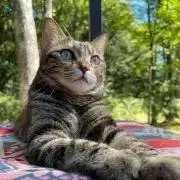 Millkyの画像
