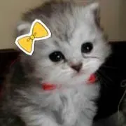 mimmyの画像