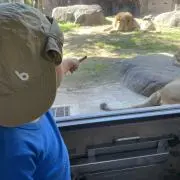 maruの画像