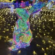 chanの画像