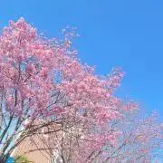 3u3の画像