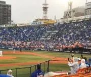 はっしーの画像