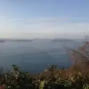 togの画像