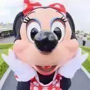 こぐまの画像