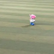 ただの服好きの画像