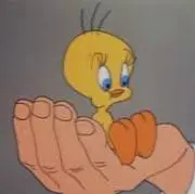 ひかるの画像