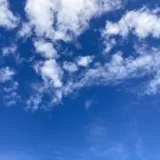 ぐっさんの画像