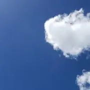 ゆうゆの画像