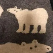 BIRDの画像