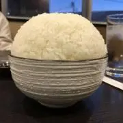 こたぬの画像