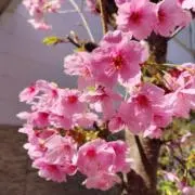 なこの画像