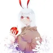 せばすチャンの画像