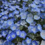 みぃ【プロフィール文ご確認ください】の画像