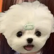 にゃむの画像