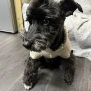 モン吉君の画像